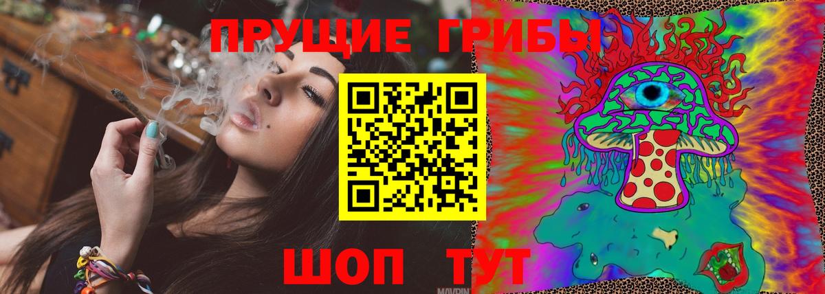 Череповец  Псилоцибиновые грибы Psilocybe  Вход с VPN 