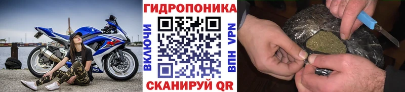 Каннабис White Widow  блэк спрут ссылка  Череповец 